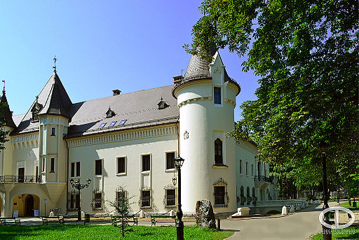 Károlyi Manor House, Museum of Nagykároly