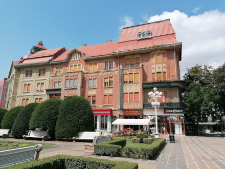 Hilt-Vogel Palace